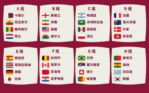 2022年世界杯参赛足球队分组名单（32强）