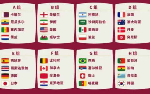 世界杯2022球队名单(32支球队名单如下)