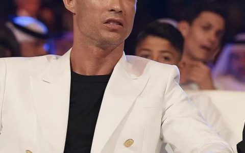c罗个人介绍（c罗生涯至今数据及荣誉盘点）