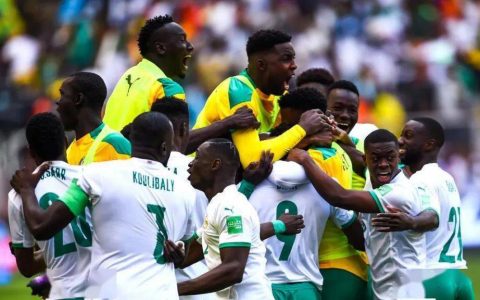 世界杯三十二强巡礼：A3 塞内加尔