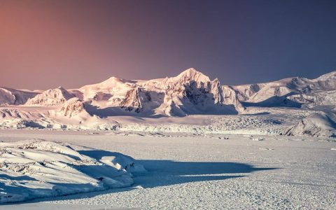 疫情在南极又有抬头趋势，美国暂停南极旅游申请