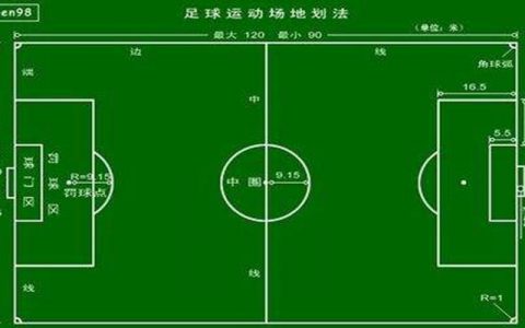 足球迷必备足球常识（足球基本规则知识有哪些）
