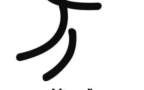 篮球必学基础知识问答（篮球知识技术讲解大全）