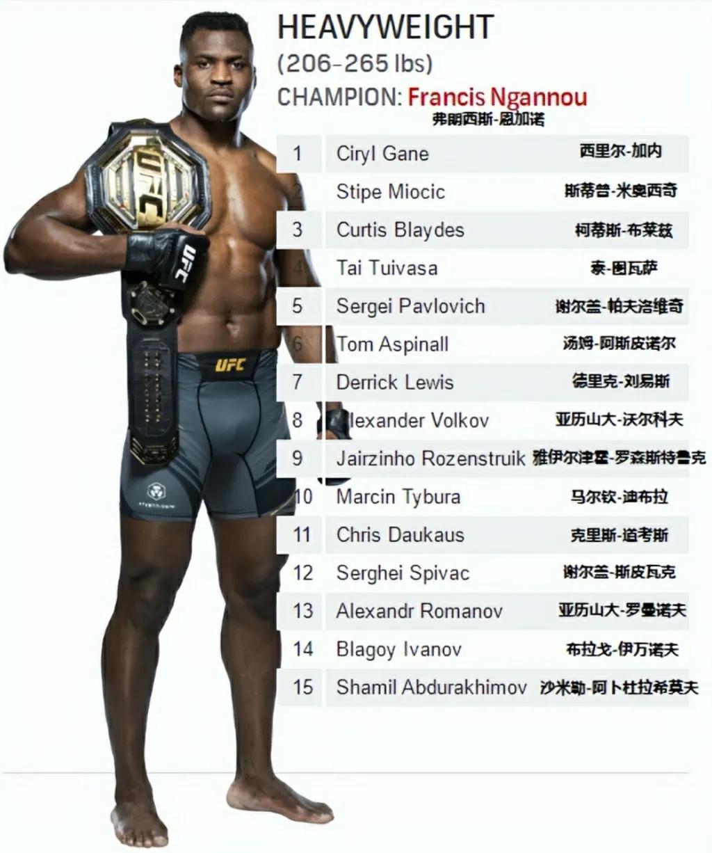 ufc男子全球排名（2022年11月13日更新）