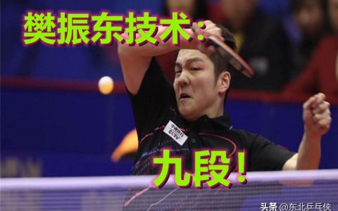 乒乓球的量级如何区分（乒乓球的9个等级介绍，每个等级都有相对应的技术水平）