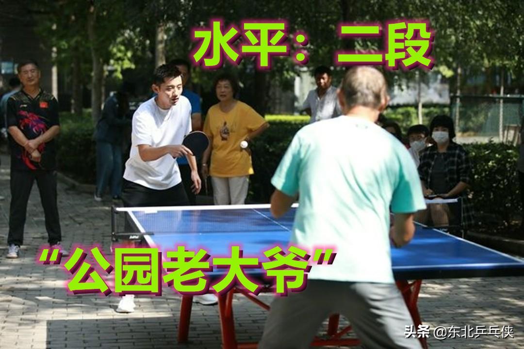 乒乓球的量级如何区分（乒乓球的9个等级介绍，每个等级都有相对应的技术水平）