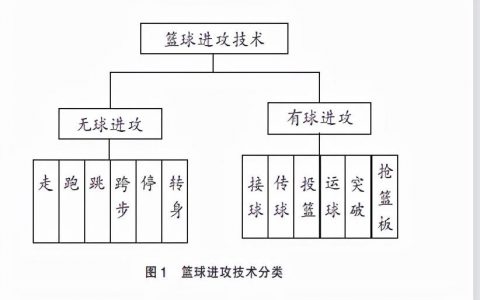 怎么有效提升篮球技术（学习篮球技术理论提高水平）