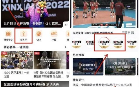 世界杯观看在线网址（2022世界杯直播观看平台汇总）