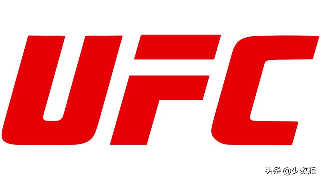 UFC-<em>终极格斗冠军赛</em>(源于格雷西家族的综合格斗赛事)