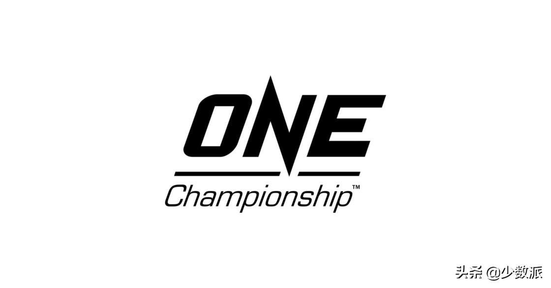 UFC-<em>终极格斗冠军赛</em>(源于格雷西家族的综合格斗赛事)