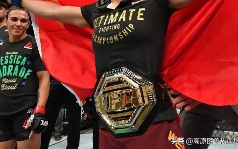 mma与UFC有什么分别？从李小龙和白大拿讲起！是类别和赛事的区别