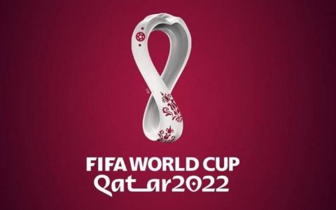 美国对阵伊朗（世界杯：普利西奇破门，美国1-0战胜伊朗挺进16强）
