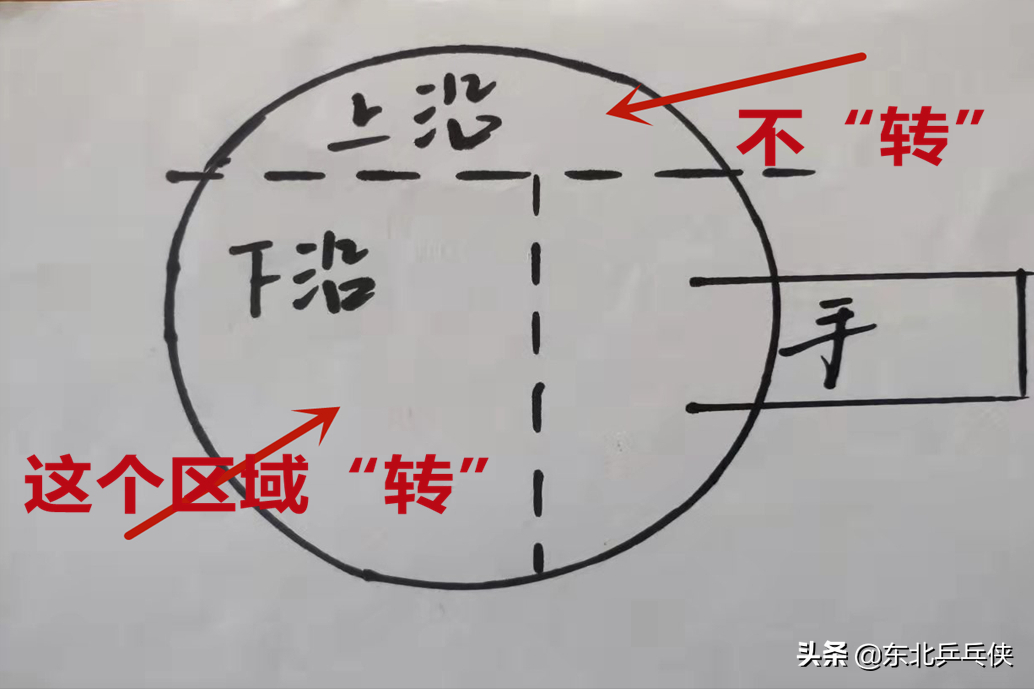 深剖！乒乓球发球技术，一个动作发出两种旋转，技术腾飞不是梦