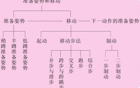 排球准备姿势图解（排球正确运动方法教学）
