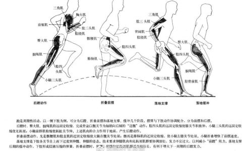 跑步应该掌握的训练方法（马克操是什么）
