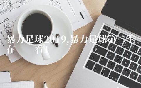 暴力足球2019,暴力足球第二季在线观看