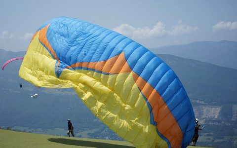 大连王泽龙,王泽龙足球运动员