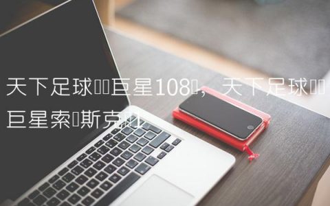 天下足球绝对巨星108将,天下足球绝对巨星索尔斯克亚
