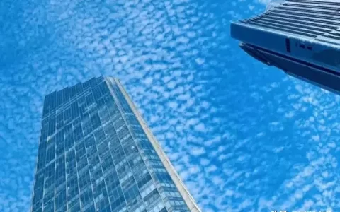 兰寿奶牛,兰寿金鱼好养吗