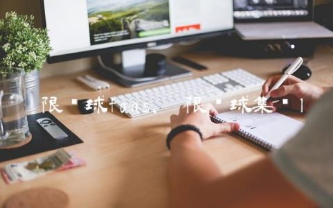极限篮球fans,极限篮球集锦