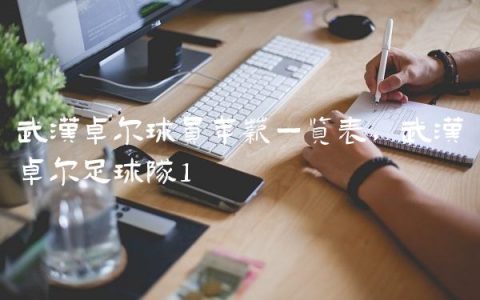 武汉卓尔球员年薪一览表,武汉卓尔足球队