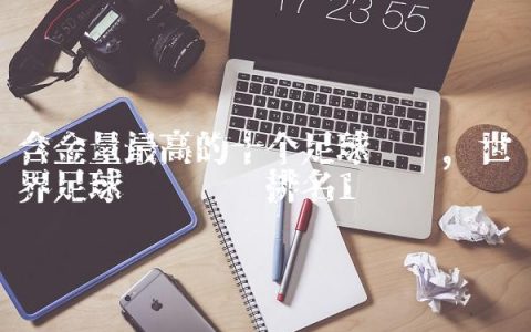 含金量最高的十个足球联赛,世界足球职业联赛排名