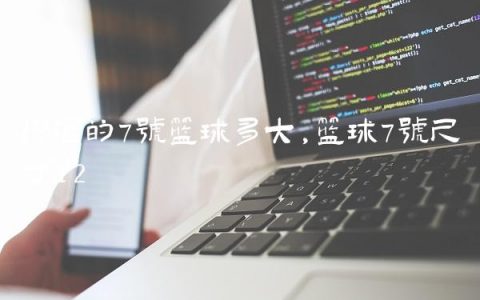 标准的7号篮球多大,篮球7号尺寸