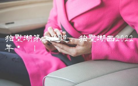 独墅湖第二通道,独墅湖西2022年规划