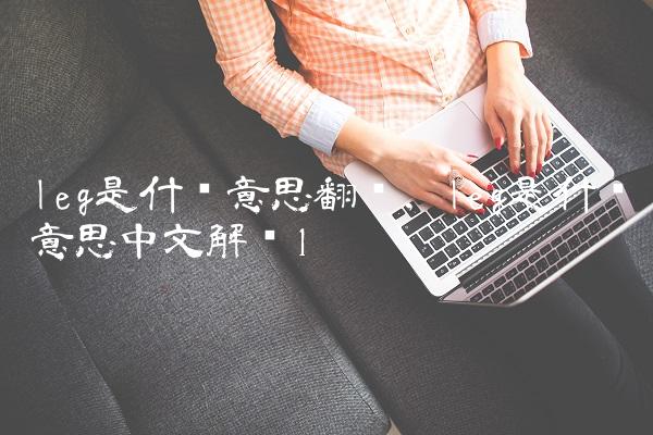 leg是什么意思翻译,leg是什么意思中文解释