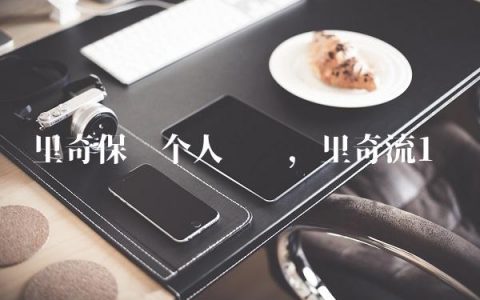里奇保罗个人简历,里奇流