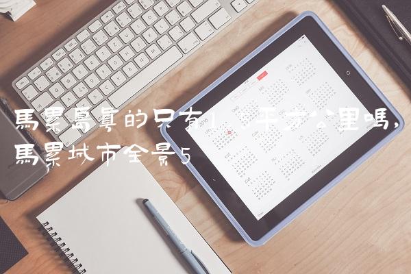 马累岛真的只有1.5平方公里吗,马累城市全景