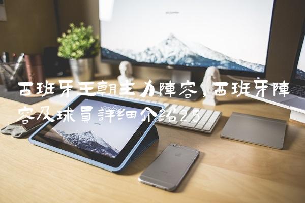 西班牙王朝主力阵容,西班牙阵容及球员详细介绍