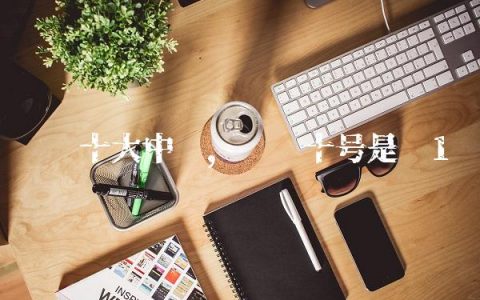 曼联十大中场,曼联十号是谁