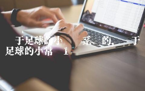 关于足球的小说带系统的,关于足球的小常识