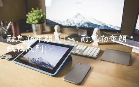 耐克勒布朗16low,耐克勒布朗篮球鞋系列