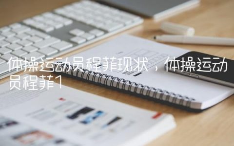 体操运动员程菲现状,体操运动员程菲