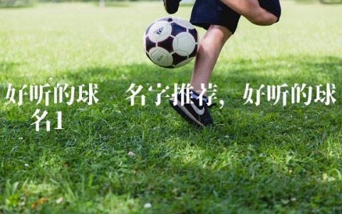 好听的球队名字推荐,好听的球队队名