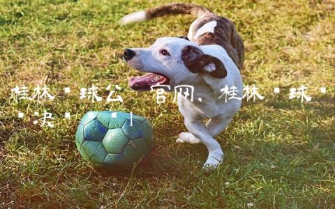桂林篮球公园官网,桂林篮球联赛决赛时间