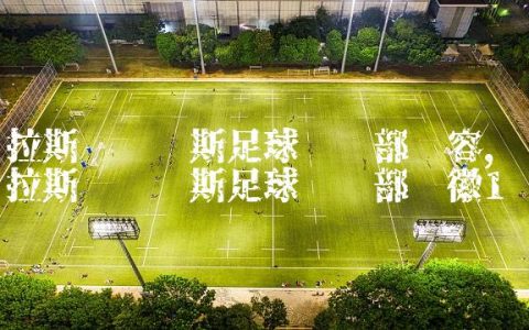 拉斯帕尔马斯足球俱乐部阵容,拉斯帕尔马斯足球俱乐部队徽