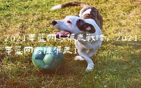 2021年篮网与雄鹿战绩,2021年篮网对阵雄鹿