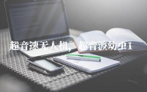超音速无人机,超音波幼虫