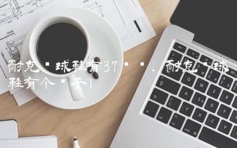 耐克篮球鞋有37码吗,耐克篮球鞋有个狮子