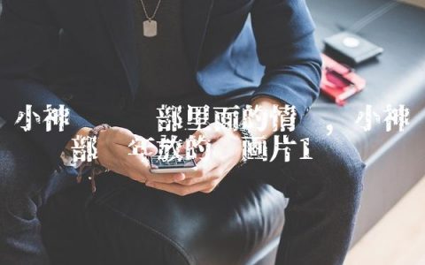 小神龙俱乐部里面的情节,小神龙俱乐部历年放的动画片