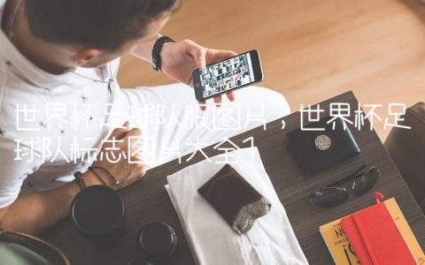 世界杯足球队服图片,世界杯足球队标志图片大全