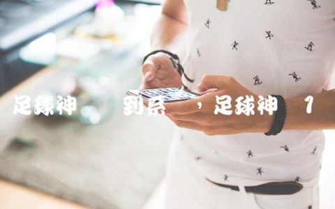 足球神级签到系统,足球神剧