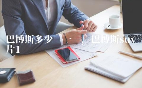 巴博斯多少钱一辆,巴博斯suv图片