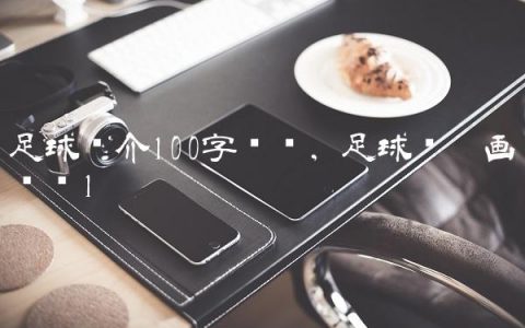 足球简介100字详细,足球简笔画简单