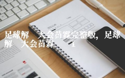 足球解说大会苗霖完整版,足球解说大会苗霖视频