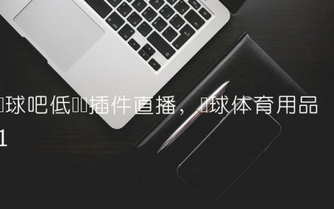 乐球吧低调无插件直播,乐球体育用品