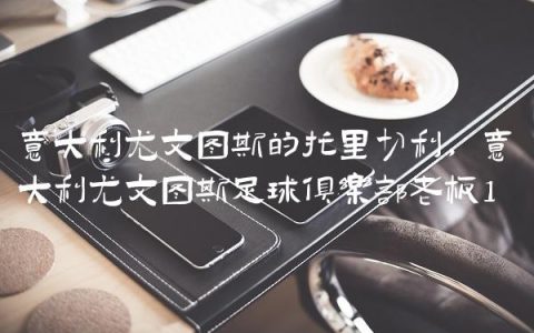 意大利尤文图斯的托里切利,意大利尤文图斯足球俱乐部老板